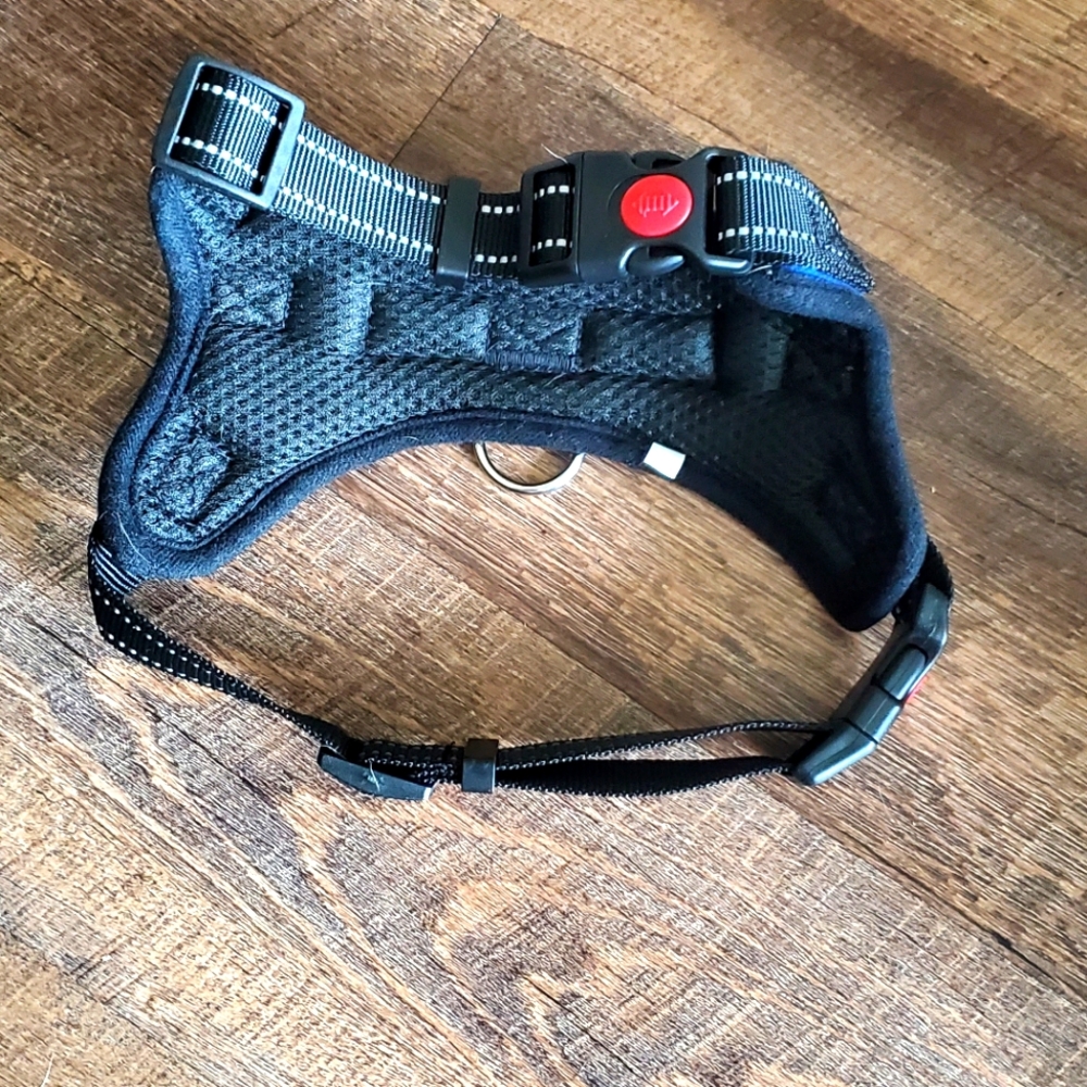 Black Dog Harness with Red Button